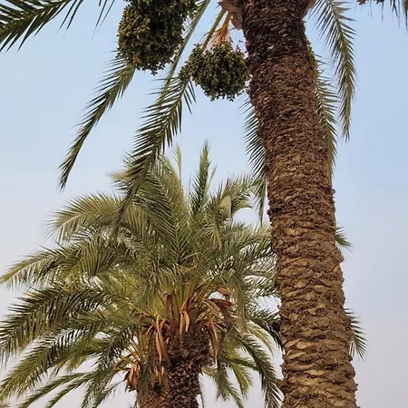 Appartement Casa Isabela Torrevieja