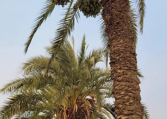 Apartamento Casa Isabela Torrevieja